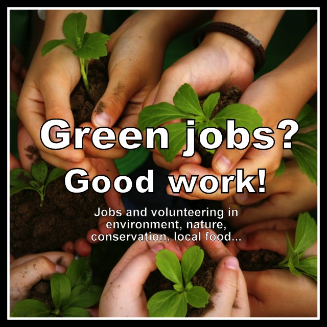 Green & environmental jobs