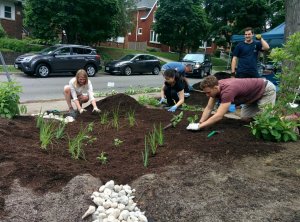 REEP Green Solutions