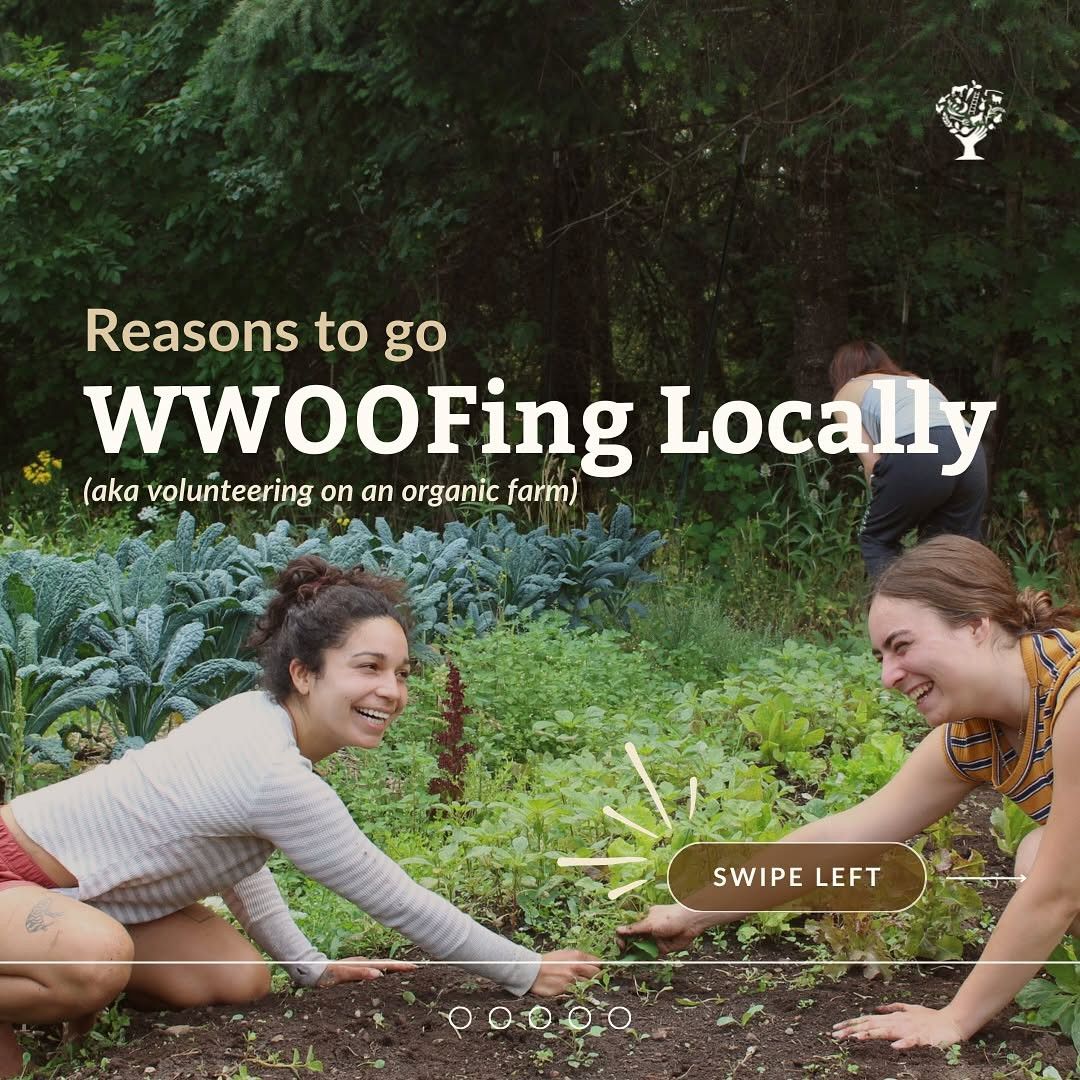 Farm stays in Kitchener-Waterloo Region, Ontario &&nbsp;beyond…